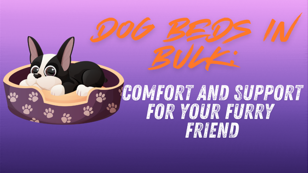 Dog Beds in Bulk
